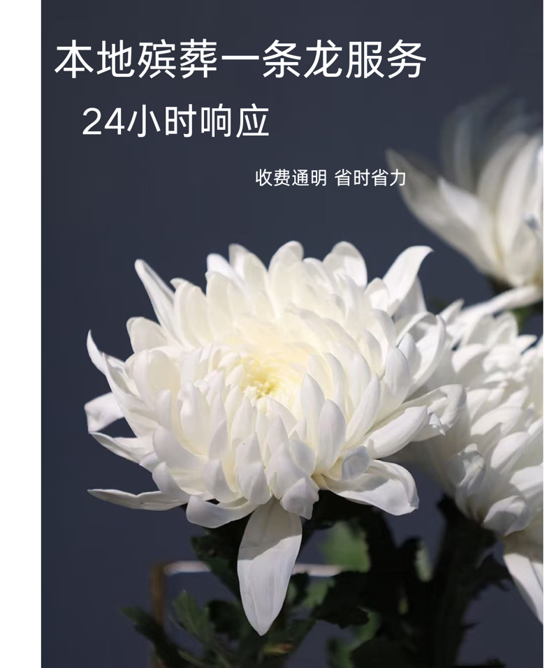大爱与利明:殡仪服务中的温暖之旅